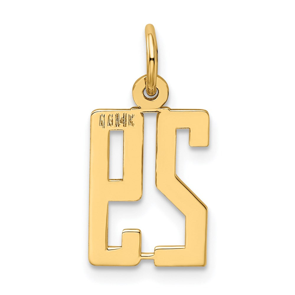 14K Gelbgold Klein Länglich Zahl 29 Charm