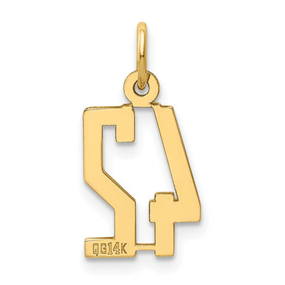 14K Gelbgold Klein Länglich Zahl 42 Charm