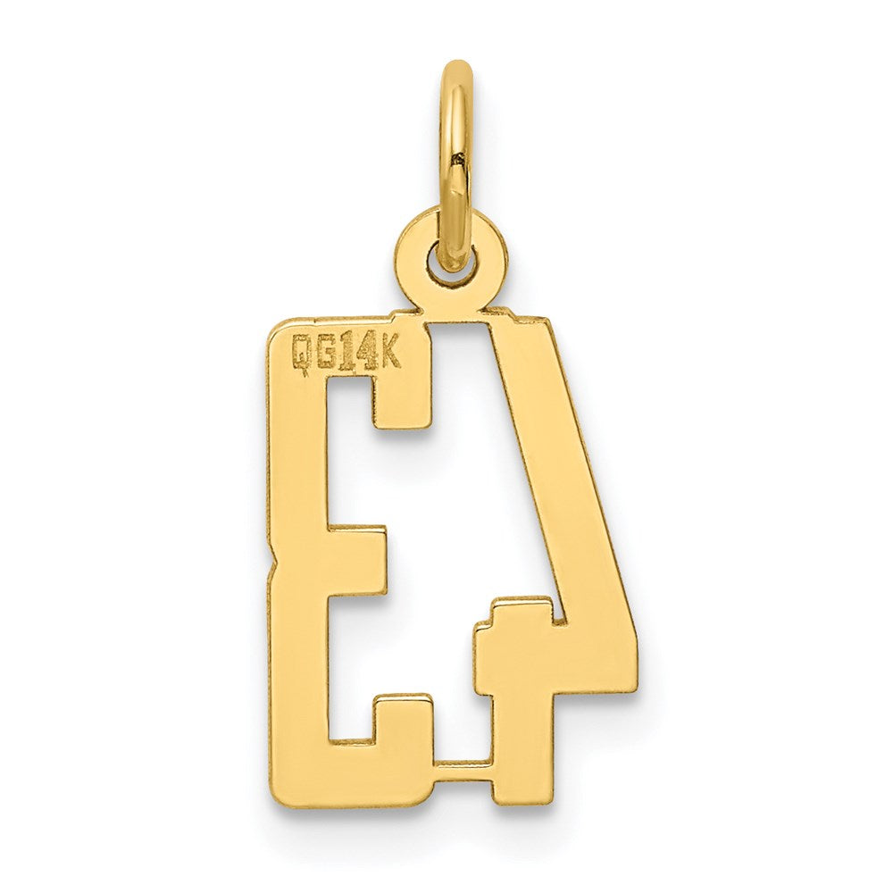 14K Gelbgold Klein Länglich Zahl 43 Charm
