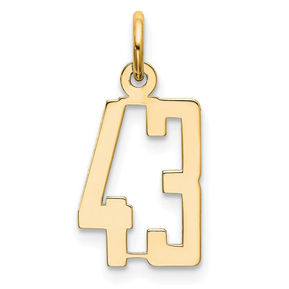 14K Gelbgold Klein Länglich Zahl 43 Charm