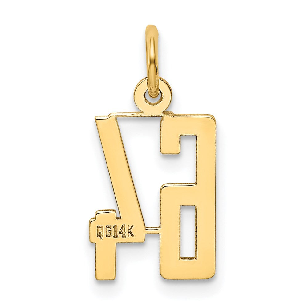 14K Gelbgold Klein Länglich Zahl 64 Charm