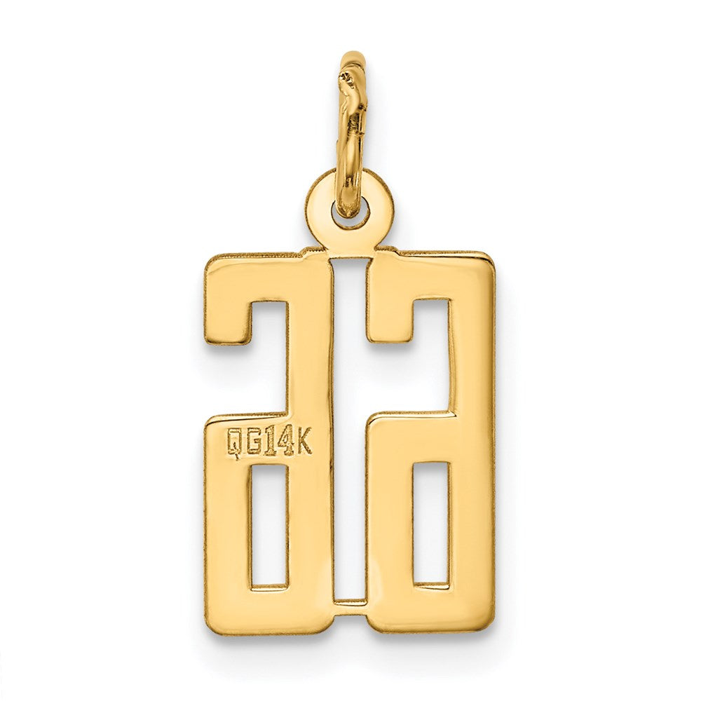 14K Gelbgold Klein Länglich Zahl 66 Charm