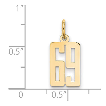 14K Gelbgold Klein Länglich Zahl 69 Charm
