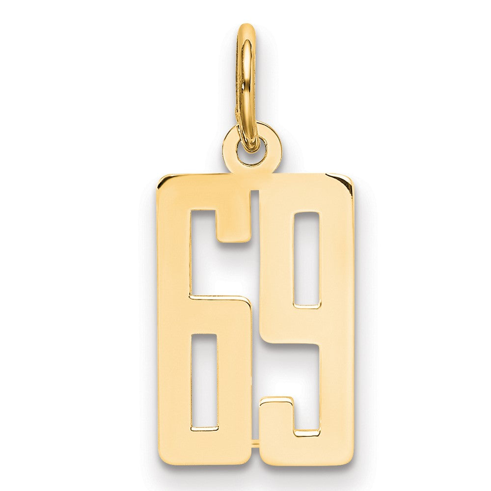 14K Gelbgold Klein Länglich Zahl 69 Charm
