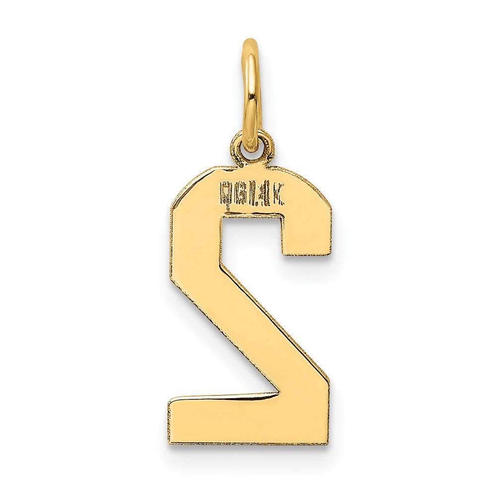 14K Gelbgold 14K Mittel Poliert Zahl 2 Charm