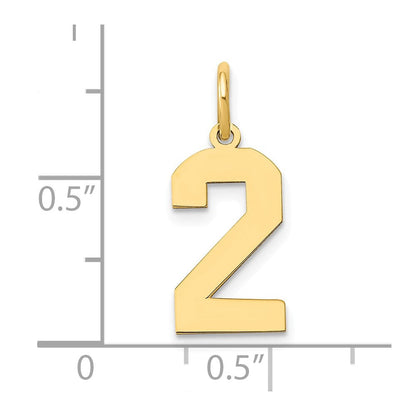 14K Gelbgold 14K Mittel Poliert Zahl 2 Charm