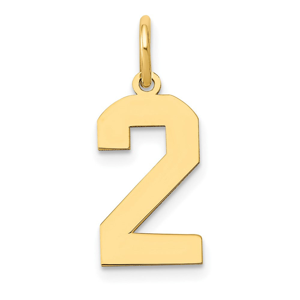 14K Gelbgold 14K Mittel Poliert Zahl 2 Charm