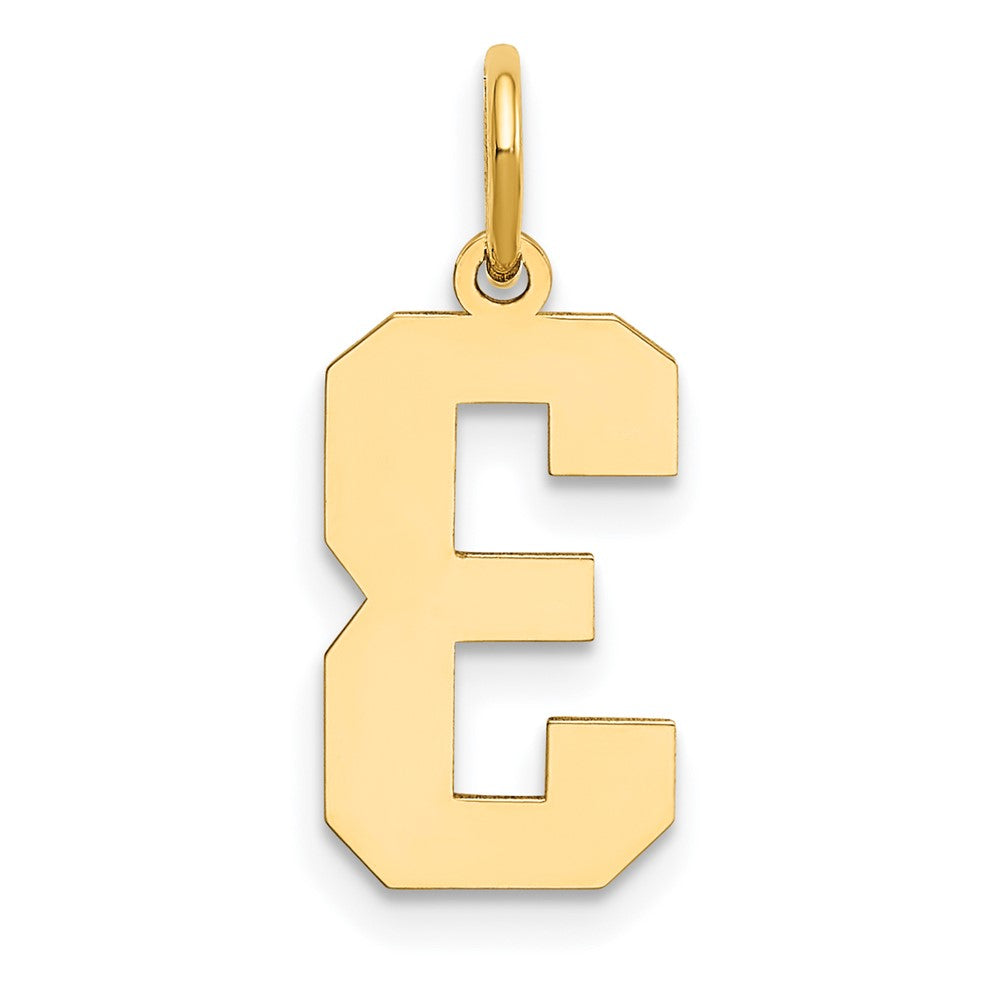 14K Gelbgold 14K Mittel Poliert Zahl 3 Charm