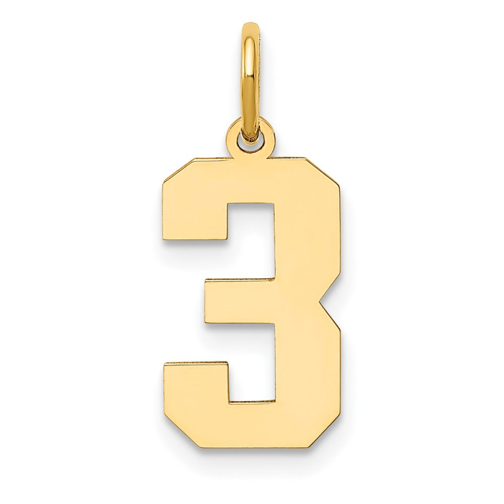 14K Gelbgold 14K Mittel Poliert Zahl 3 Charm