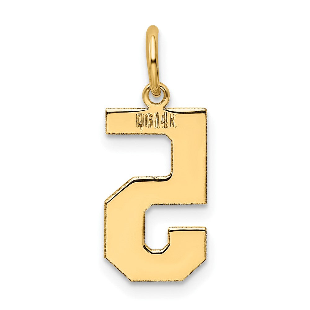 14K Gelbgold 14K Mittel Poliert Zahl 5 Charm