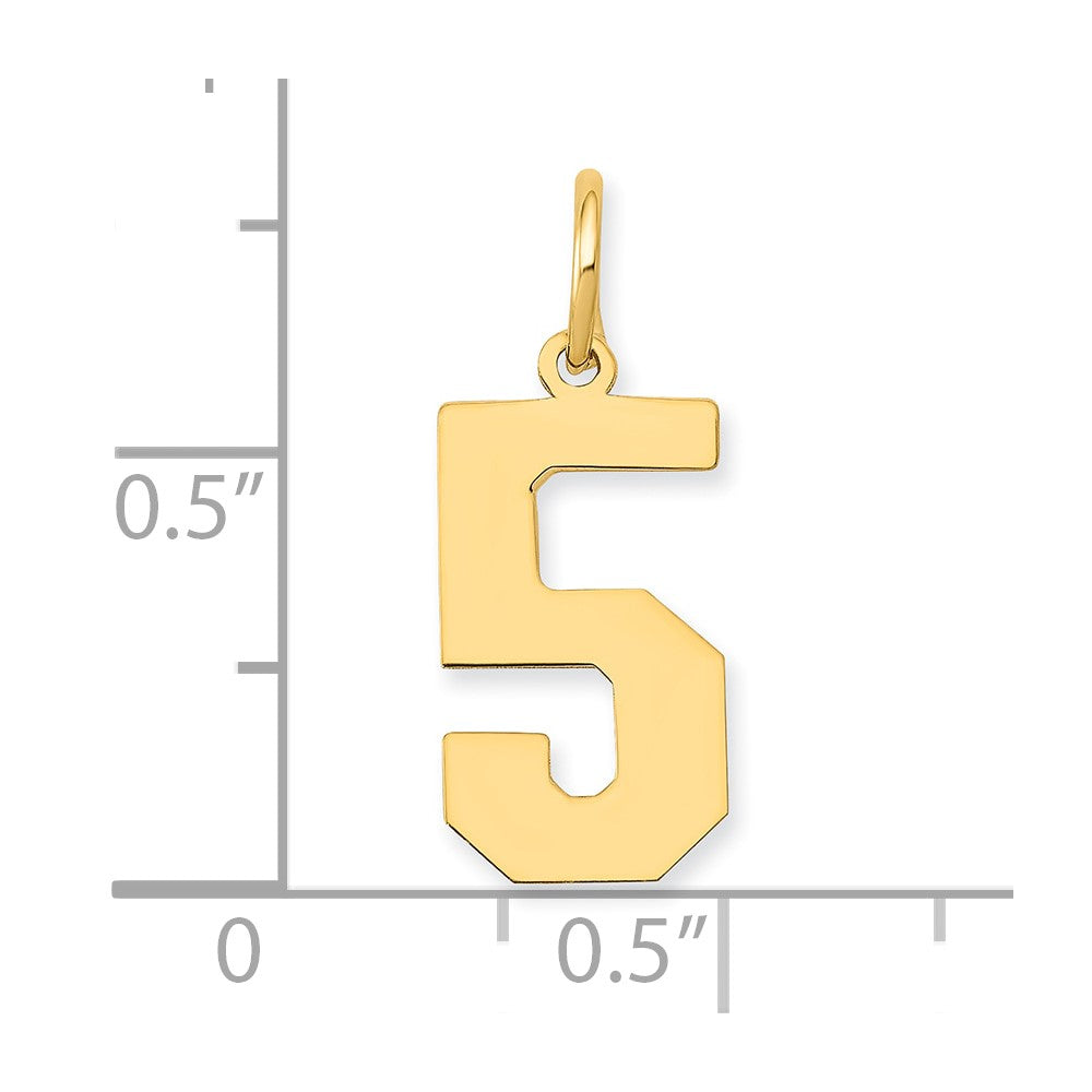 14K Gelbgold 14K Mittel Poliert Zahl 5 Charm