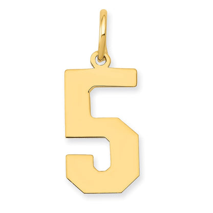 14K Gelbgold 14K Mittel Poliert Zahl 5 Charm