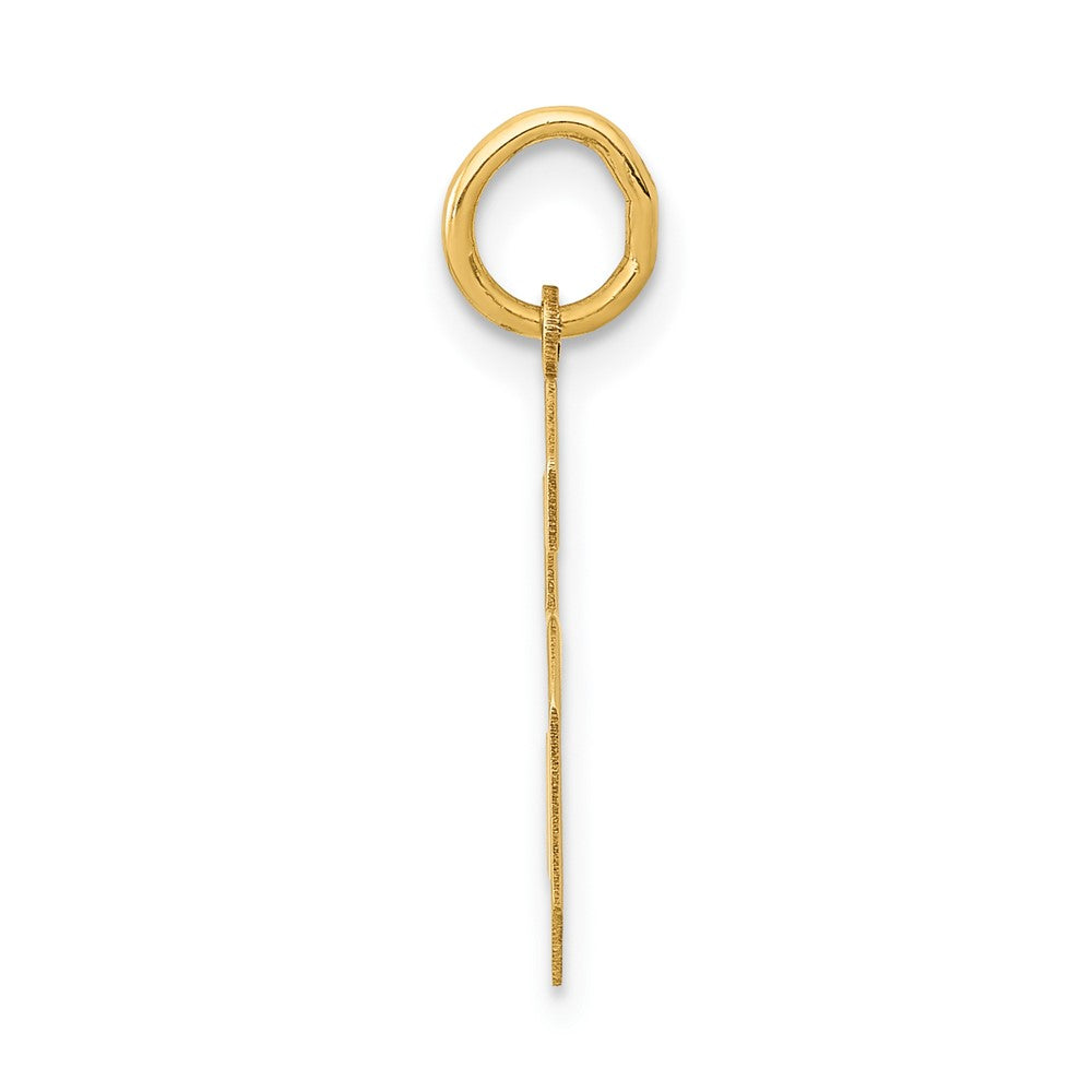 14K Gelbgold 14K Mittel Poliert Zahl 6 Charm