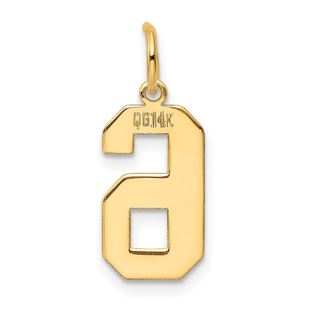 14K Gelbgold 14K Mittel Poliert Zahl 6 Charm