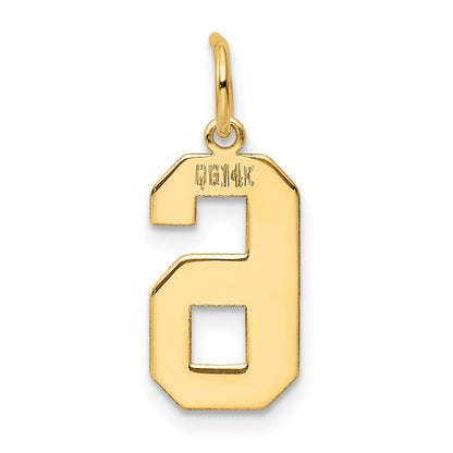 14K Gelbgold 14K Mittel Poliert Zahl 6 Charm