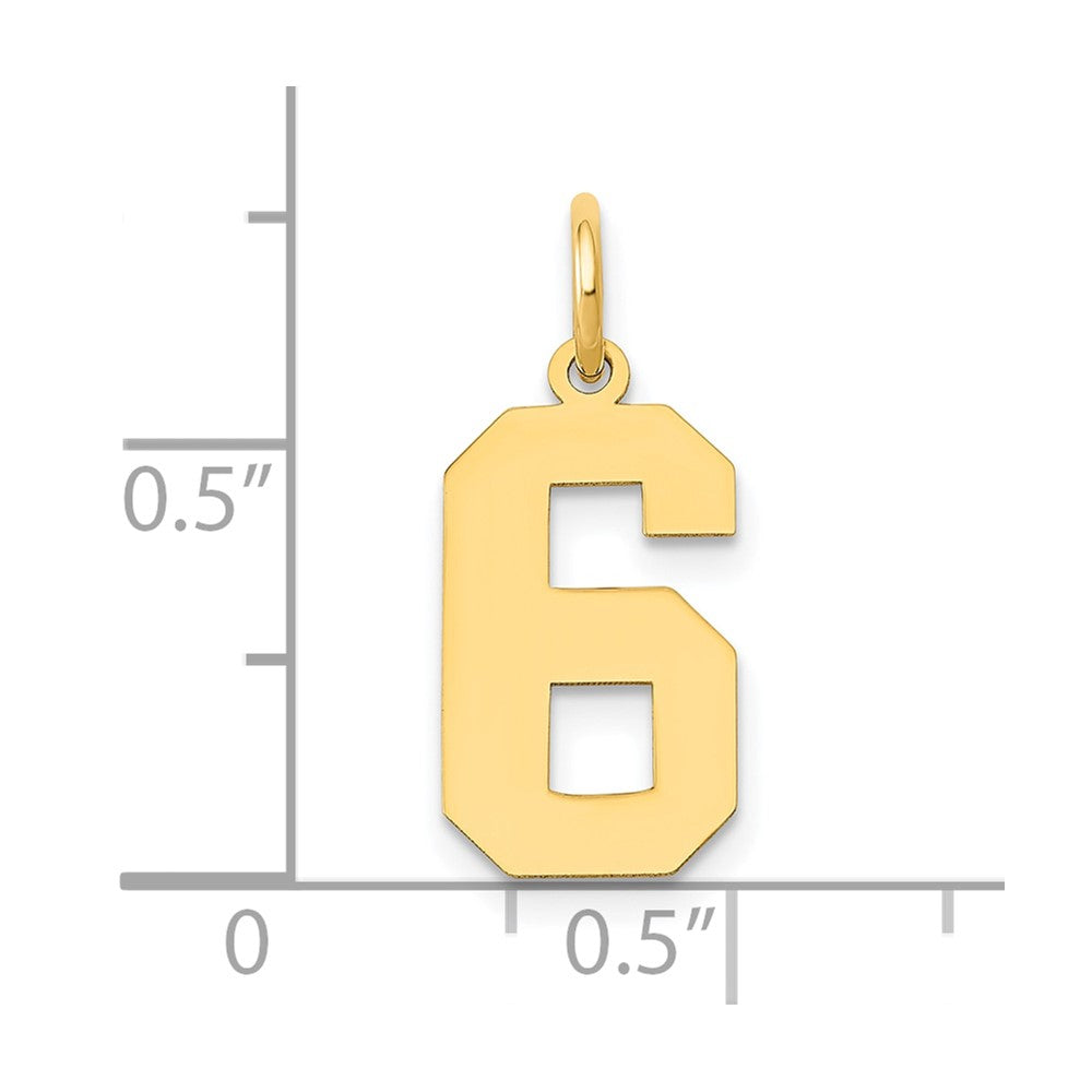 14K Gelbgold 14K Mittel Poliert Zahl 6 Charm