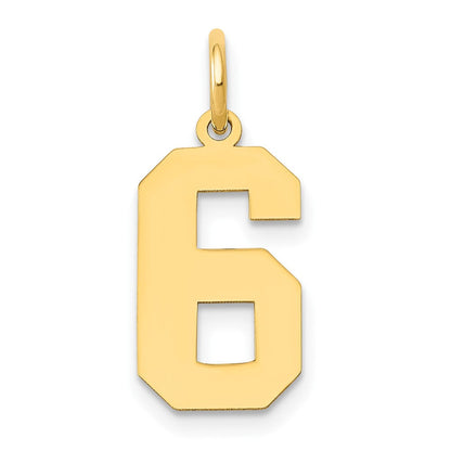 14K Gelbgold 14K Mittel Poliert Zahl 6 Charm
