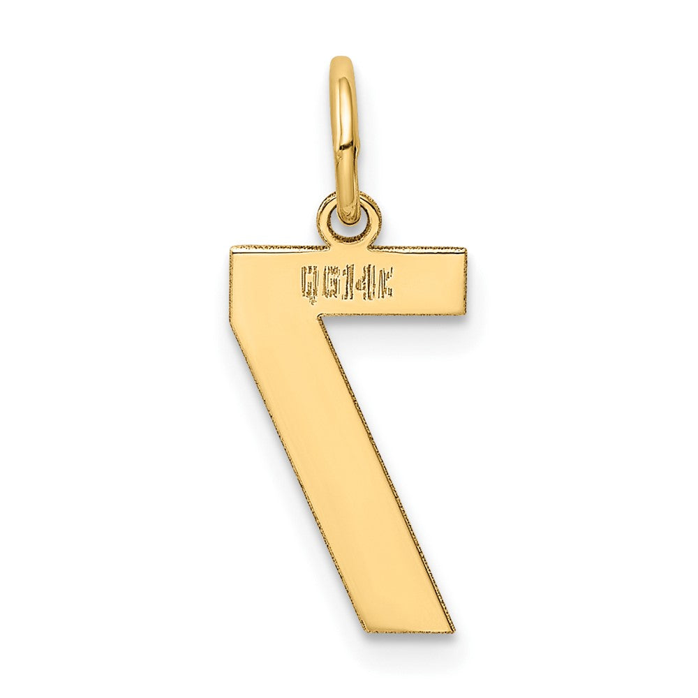 14K Gelbgold 14K Mittel Poliert Zahl 7 Charm