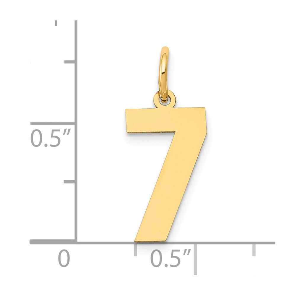 14K Gelbgold 14K Mittel Poliert Zahl 7 Charm