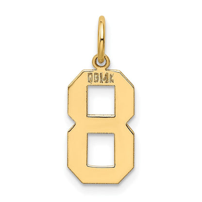 14K Gelbgold 14K Mittel Poliert Zahl 8 Charm