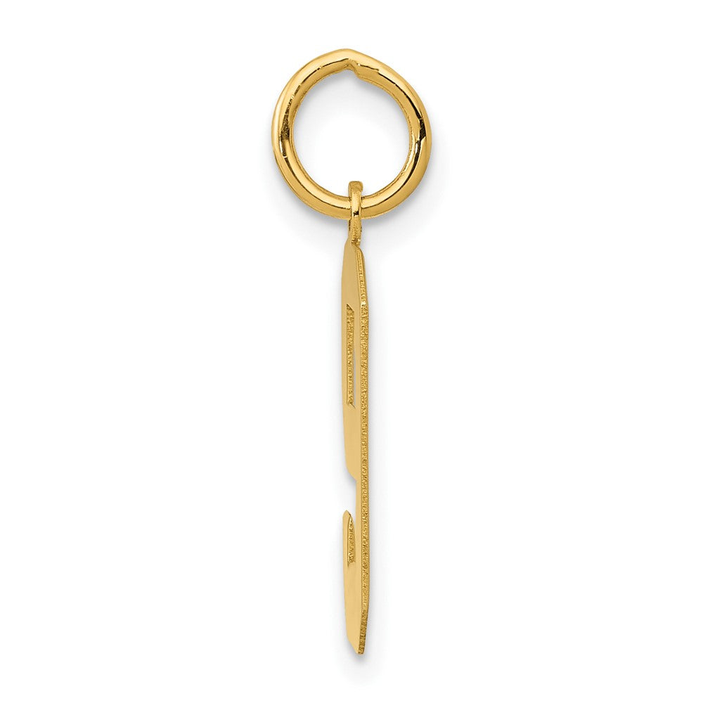 14K Gelbgold 14K Mittel Poliert Zahl 9 Charm