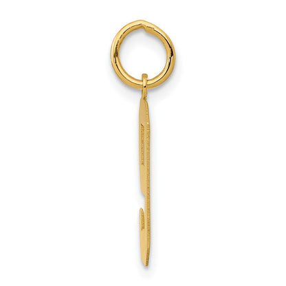 14K Gelbgold 14K Mittel Poliert Zahl 9 Charm
