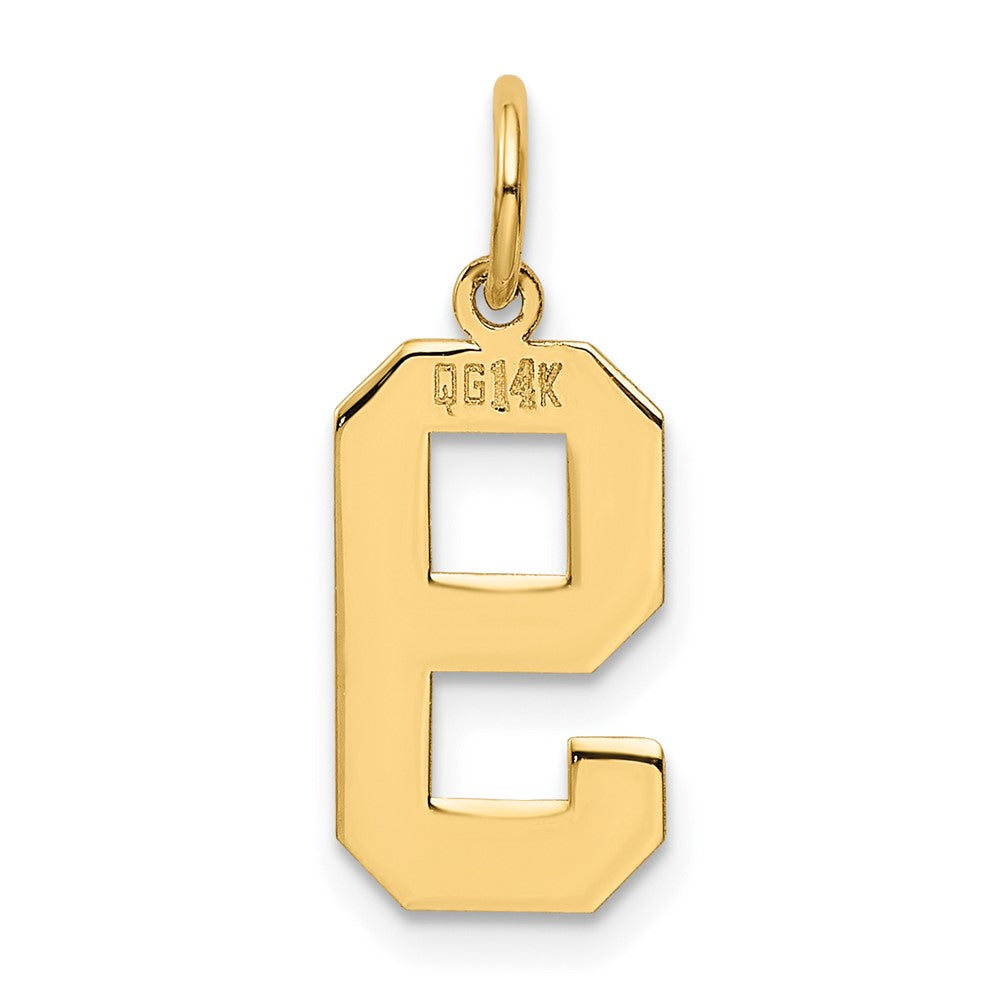 14K Gelbgold 14K Mittel Poliert Zahl 9 Charm