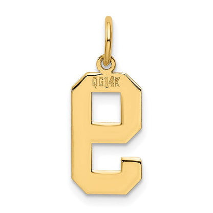 14K Gelbgold 14K Mittel Poliert Zahl 9 Charm