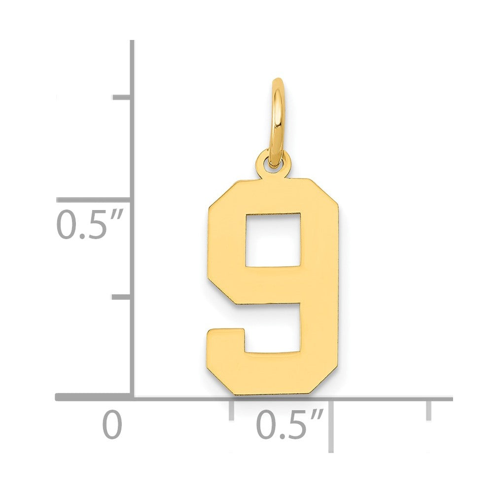14K Gelbgold 14K Mittel Poliert Zahl 9 Charm