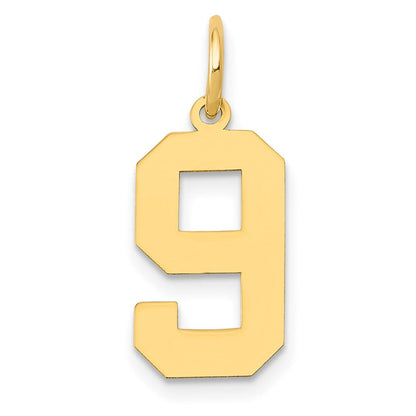 14K Gelbgold 14K Mittel Poliert Zahl 9 Charm