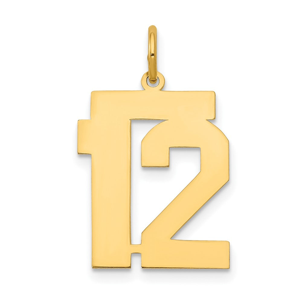 14K Gelbgold Mittel Poliert Zahl 12 Charm