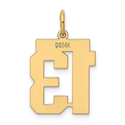 14K Gelbgold Mittel Poliert Zahl 13 Charm