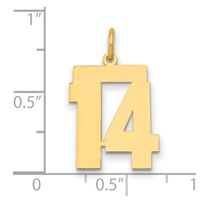 14K Gelbgold 14K Mittel Poliert Zahl 14 Charm