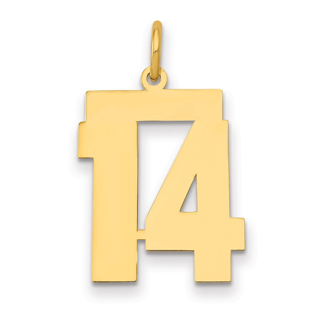14K Gelbgold 14K Mittel Poliert Zahl 14 Charm
