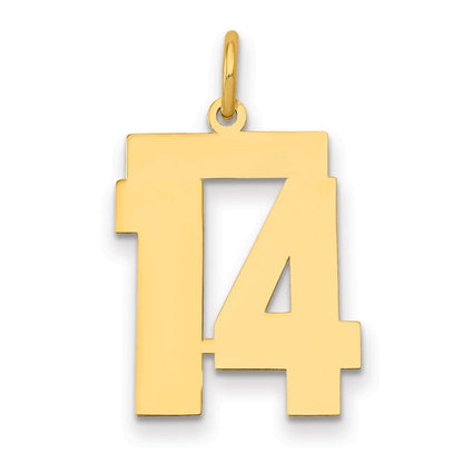 14K Gelbgold 14K Mittel Poliert Zahl 14 Charm