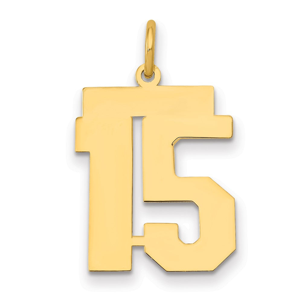 14K Gelbgold Mittel Poliert Zahl 15 Charm