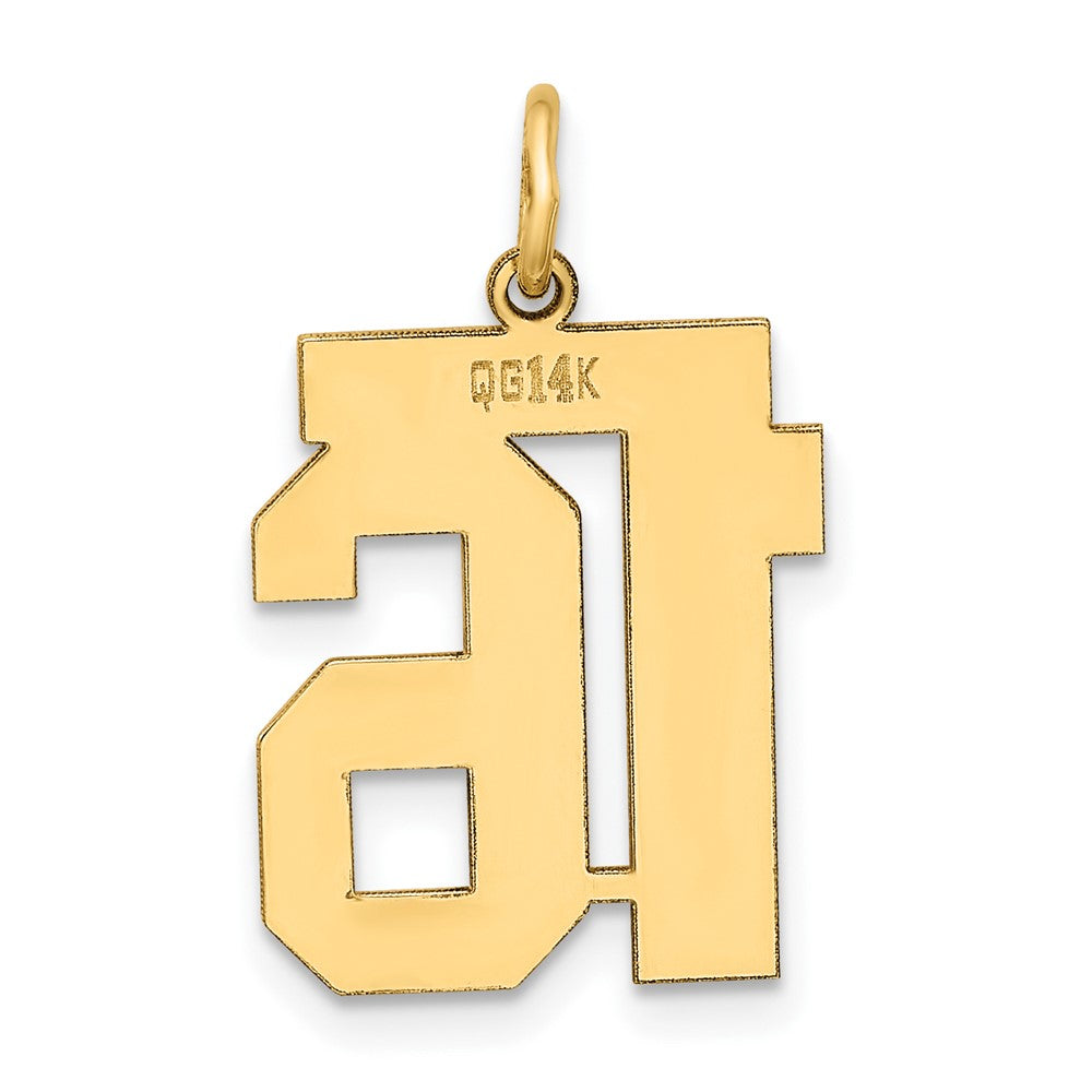 14K Gelbgold 14K Mittel Poliert Zahl 16 Charm