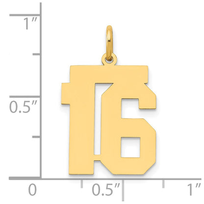 14K Gelbgold 14K Mittel Poliert Zahl 16 Charm