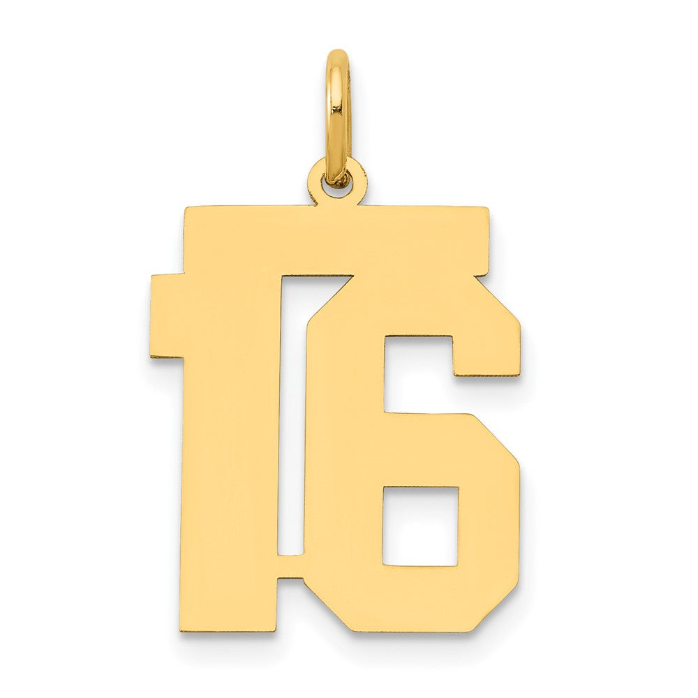 14K Gelbgold 14K Mittel Poliert Zahl 16 Charm