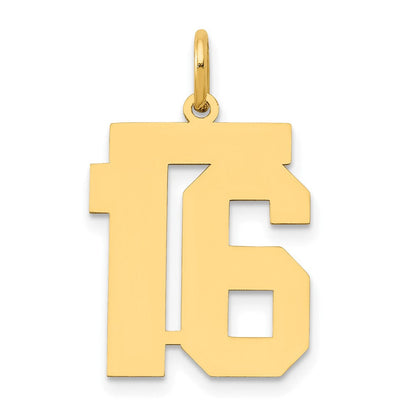 14K Gelbgold 14K Mittel Poliert Zahl 16 Charm