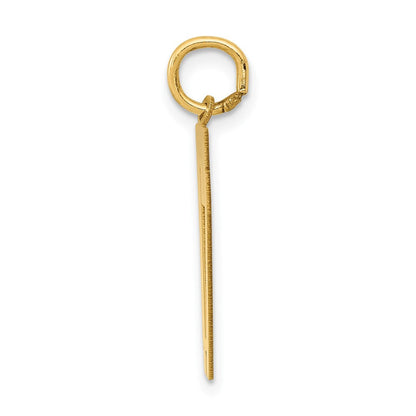 14K Gelbgold 14K Mittel Poliert Zahl 17 Charm