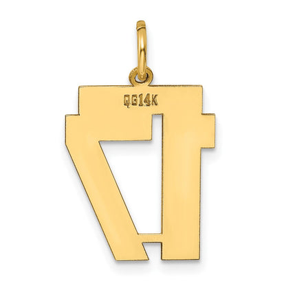 14K Gelbgold 14K Mittel Poliert Zahl 17 Charm