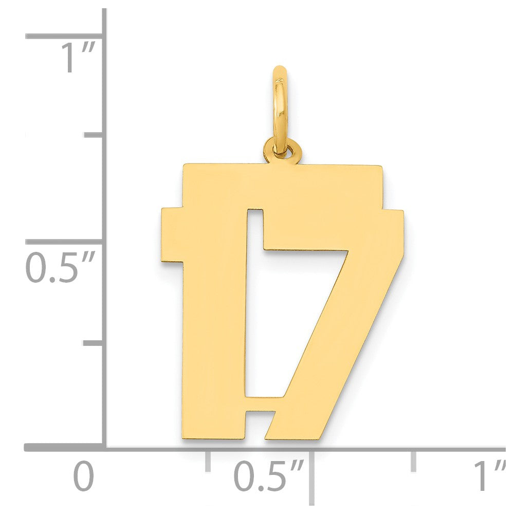 14K Gelbgold 14K Mittel Poliert Zahl 17 Charm