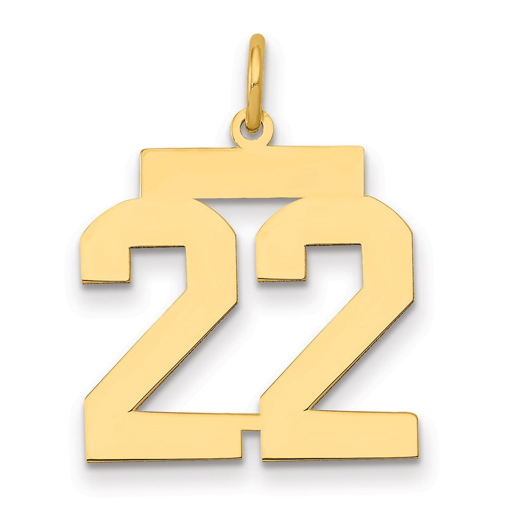 14K Gelbgold 14K Mittel Poliert Zahl 22 Charm
