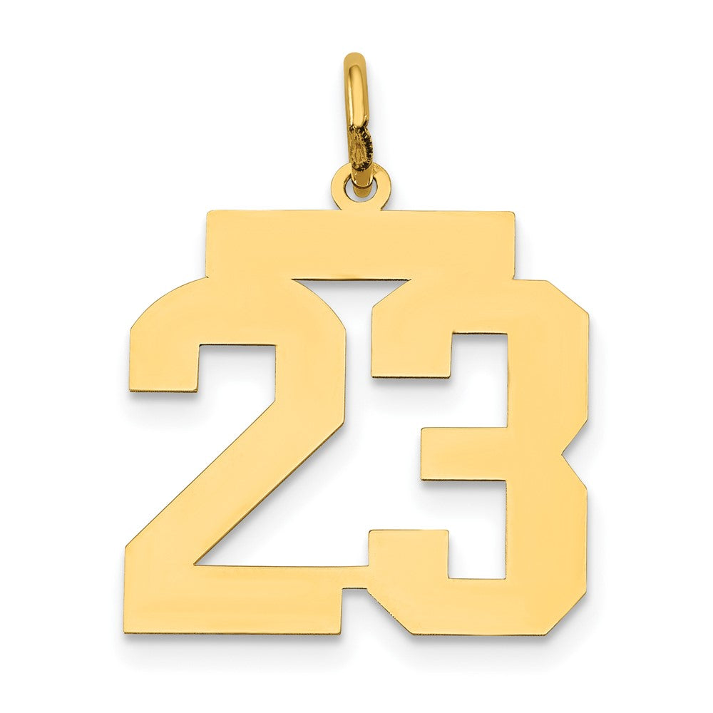 14K Gelbgold 14K Mittel Poliert Zahl 23 Charm