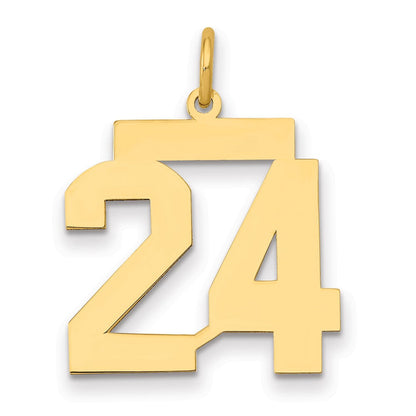 14K Gelbgold Mittel Poliert Zahl 24 Charm