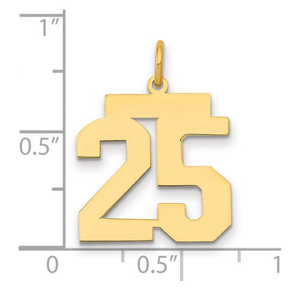 14K Gelbgold Mittel Poliert Zahl 25 Charm