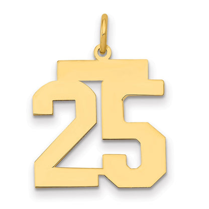 14K Gelbgold Mittel Poliert Zahl 25 Charm