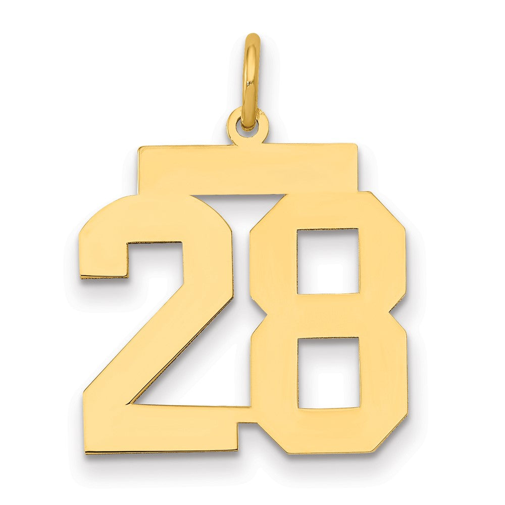 14K Gelbgold Mittel Poliert Zahl 28 Charm