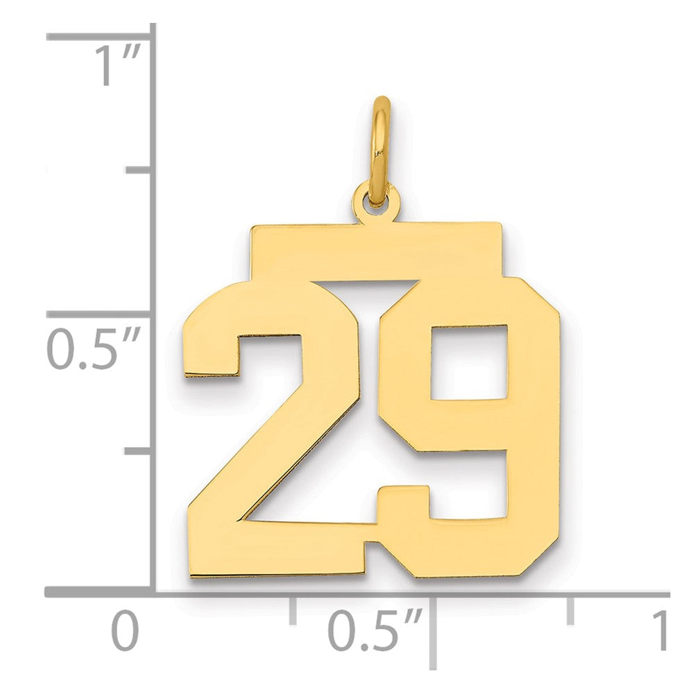14K Gelbgold Mittel Poliert Zahl 29 Charm